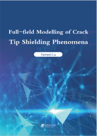 Full-field Modelling of Crack Tip Shielding Phenomena