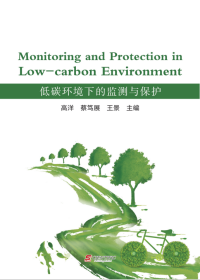 Monitoring and Protection in Low-carbon Environment